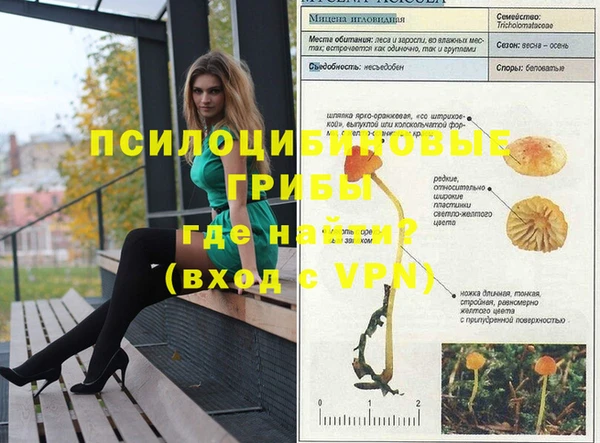 Альфа ПВП Алексеевка