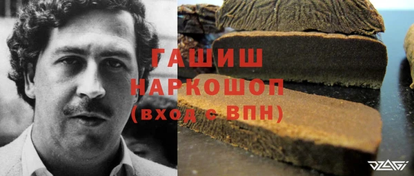 молекула духа Алексин
