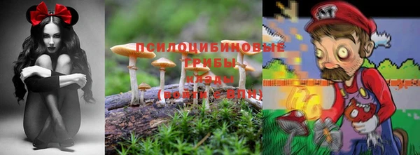 меф Алзамай