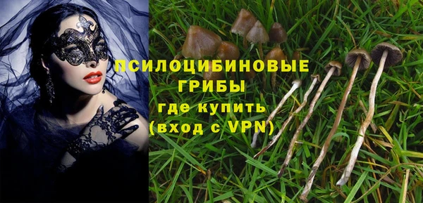 молекула духа Алексин