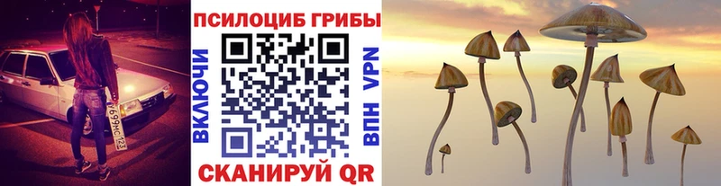 Псилоцибиновые грибы Cubensis  цены наркотик  Павлово 