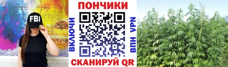 Каннабис OG Kush  Павлово 
